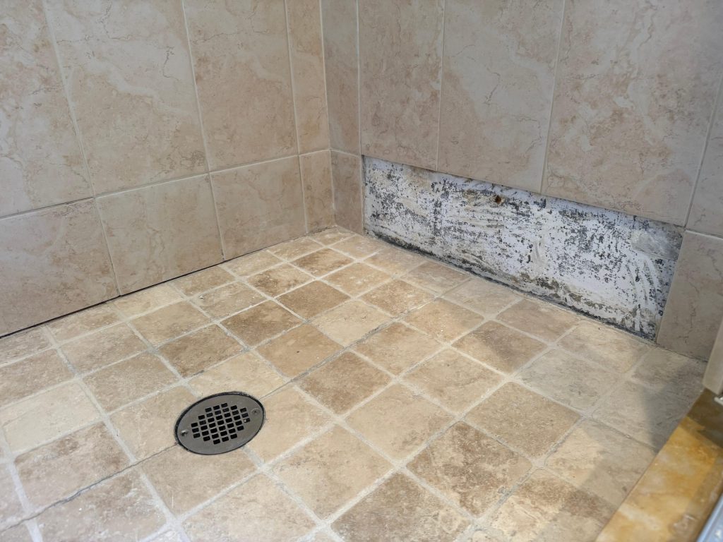 Shower wall with missing tiles before repair
